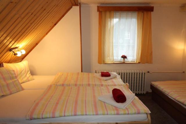 Hotel-Penzion Johanka Háj Eksteriør bilde